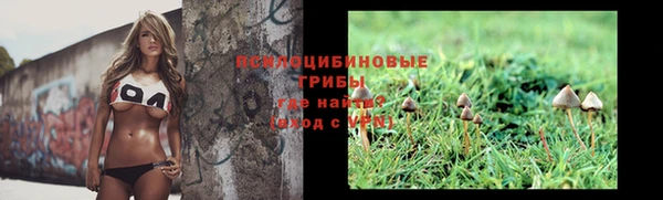 2c-b Алексин